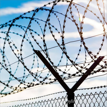 razor barbed spikes wire